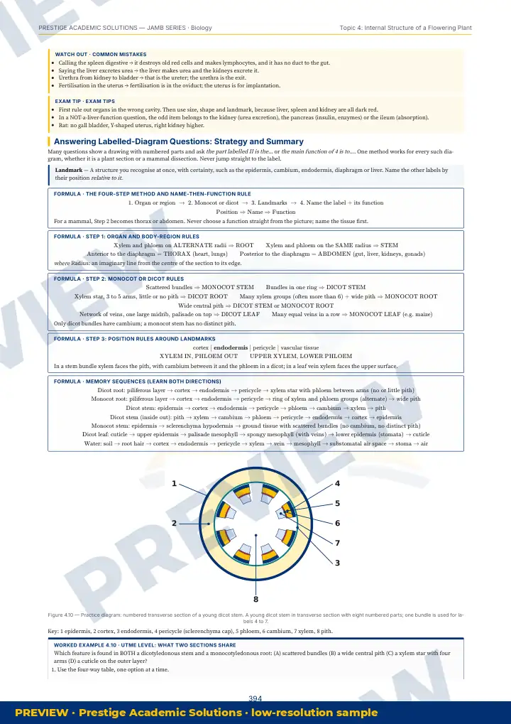 Preview page: Clean diagrams — Biology — JAMB UTME Series