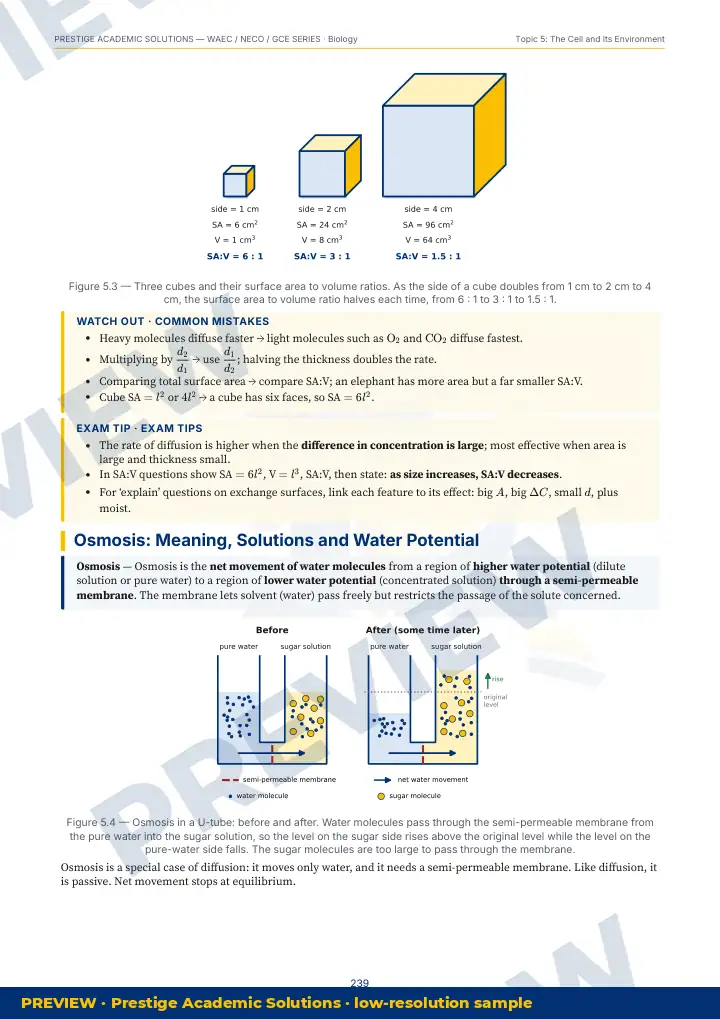 Preview page: Clean diagrams — Biology — WAEC / NECO / GCE Series